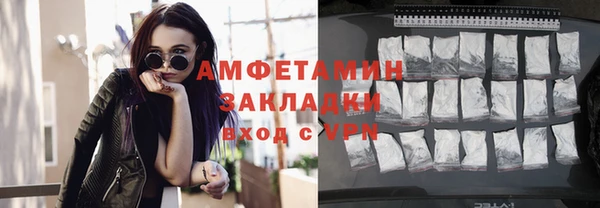 шишки Елизово