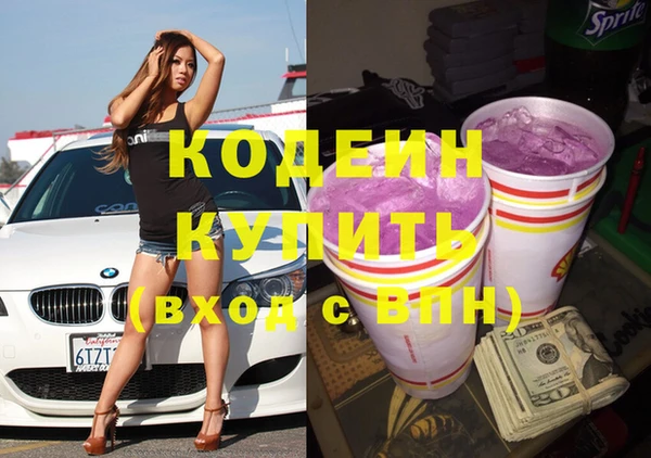 шишки Елизово