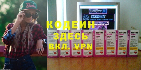 шишки Елизово
