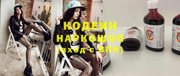 шишки Елизово