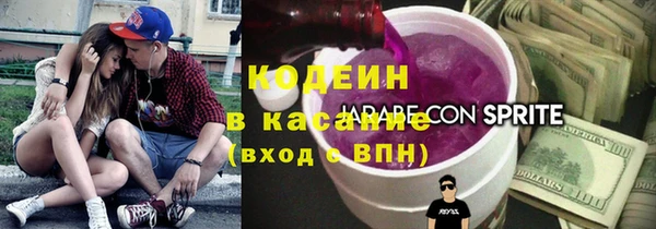 шишки Елизово