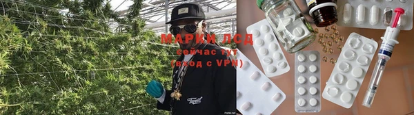 шишки Елизово
