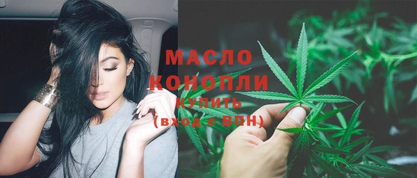 шишки Елизово