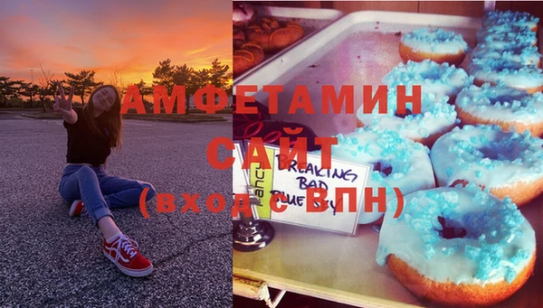 шишки Елизово